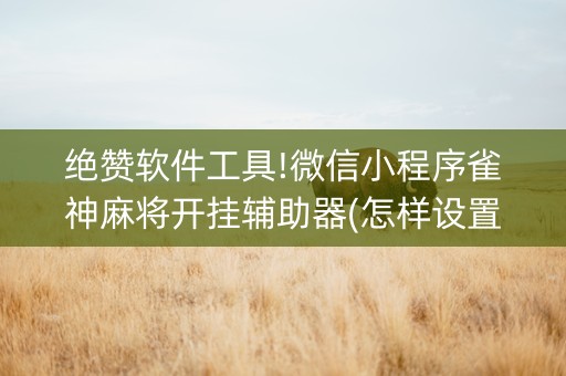 绝赞软件工具!微信小程序雀神麻将开挂辅助器(怎样设置拿好牌)
