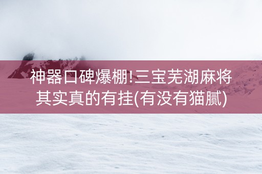 神器口碑爆棚!三宝芜湖麻将其实真的有挂(有没有猫腻)