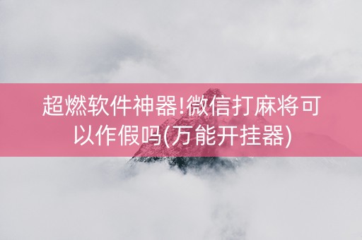 超燃软件神器!微信打麻将可以作假吗(万能开挂器)