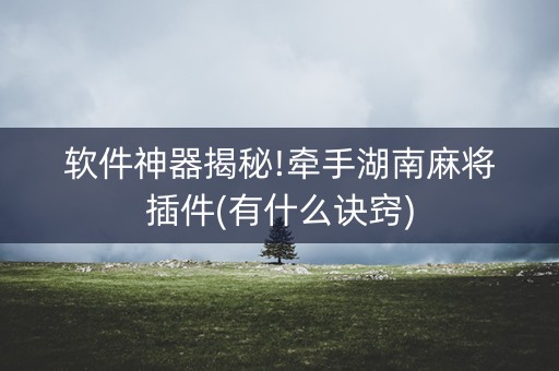 软件神器揭秘!牵手湖南麻将插件(有什么诀窍)