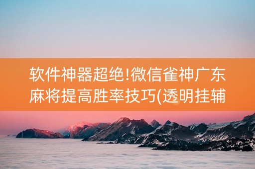 软件神器超绝!微信雀神广东麻将提高胜率技巧(透明挂辅助器)