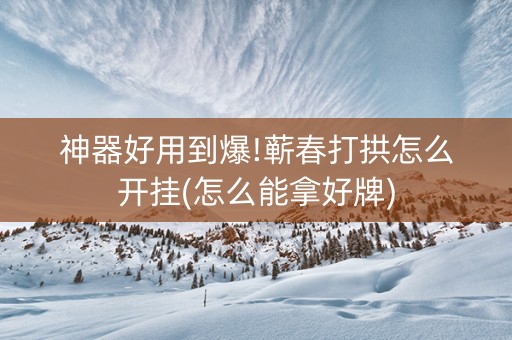 神器好用到爆!蕲春打拱怎么开挂(怎么能拿好牌)