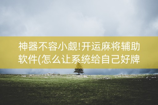 神器不容小觑!开运麻将辅助软件(怎么让系统给自己好牌)