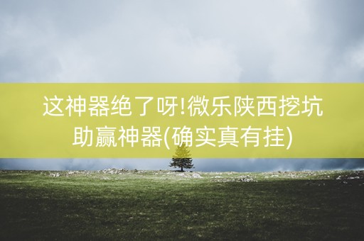 这神器绝了呀!微乐陕西挖坑助赢神器(确实真有挂)