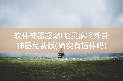 软件神器超燃!哈灵麻将外卦神器免费版(确实有插件吗)