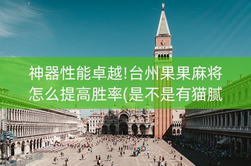 神器性能卓越!台州果果麻将怎么提高胜率(是不是有猫腻)