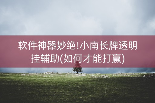 软件神器妙绝!小南长牌透明挂辅助(如何才能打赢)