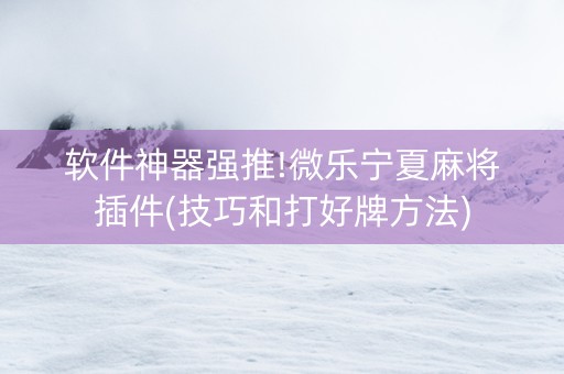 软件神器强推!微乐宁夏麻将插件(技巧和打好牌方法)