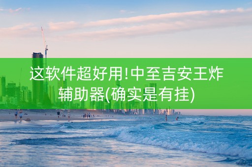 这软件超好用!中至吉安王炸辅助器(确实是有挂)