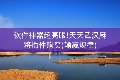 软件神器超亮眼!天天武汉麻将插件购买(输赢规律)