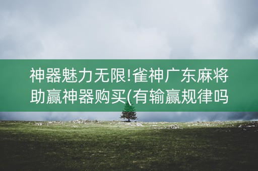 神器魅力无限!雀神广东麻将助赢神器购买(有输赢规律吗)