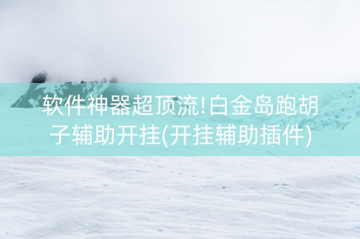 软件神器超顶流!白金岛跑胡子辅助开挂(开挂辅助插件)
