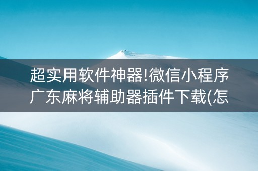 超实用软件神器!微信小程序广东麻将辅助器插件下载(怎么提高胜率)