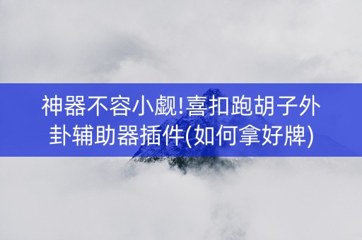 神器不容小觑!喜扣跑胡子外卦辅助器插件(如何拿好牌)