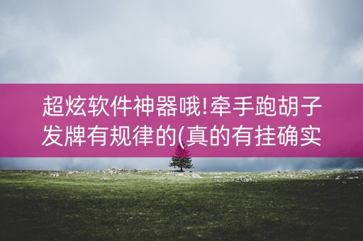 超炫软件神器哦!牵手跑胡子发牌有规律的(真的有挂确实有挂)