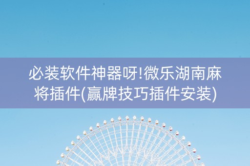 必装软件神器呀!微乐湖南麻将插件(赢牌技巧插件安装)