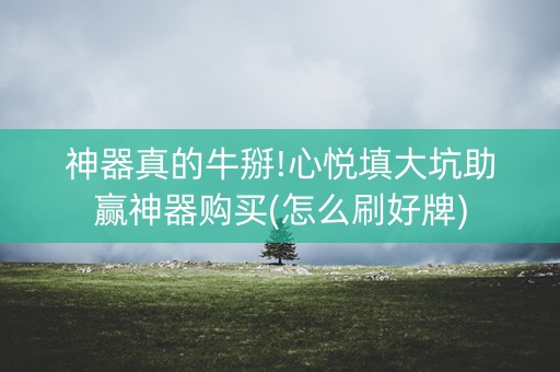 神器真的牛掰!心悦填大坑助赢神器购买(怎么刷好牌)