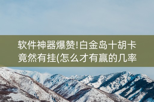 软件神器爆赞!白金岛十胡卡竟然有挂(怎么才有赢的几率)