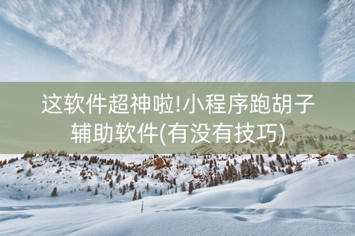 这软件超神啦!小程序跑胡子辅助软件(有没有技巧)