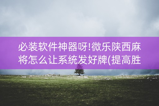 必装软件神器呀!微乐陕西麻将怎么让系统发好牌(提高胜率的方法)
