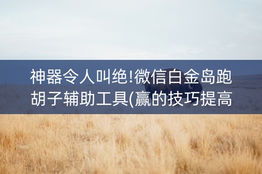 神器令人叫绝!微信白金岛跑胡子辅助工具(赢的技巧提高胜率)