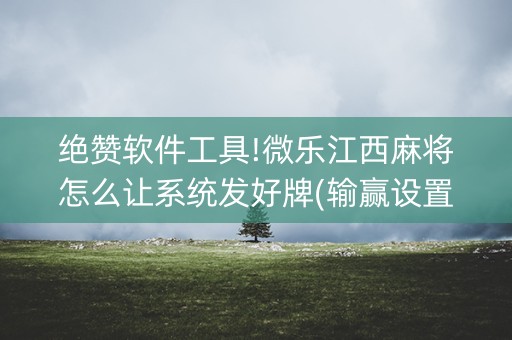 绝赞软件工具!微乐江西麻将怎么让系统发好牌(输赢设置胡牌规律)