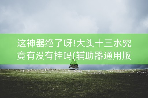 这神器绝了呀!大头十三水究竟有没有挂吗(辅助器通用版)