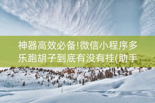 神器高效必备!微信小程序多乐跑胡子到底有没有挂(助手神器外辅工具)