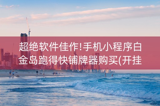 超绝软件佳作!手机小程序白金岛跑得快铺牌器购买(开挂辅助插件)