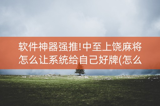 软件神器强推!中至上饶麻将怎么让系统给自己好牌(怎么才能赢)