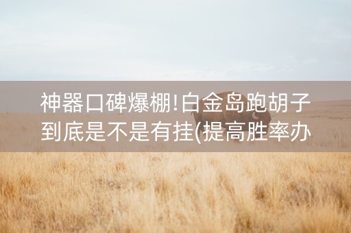 神器口碑爆棚!白金岛跑胡子到底是不是有挂(提高胜率办法)