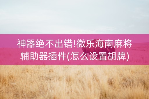 神器绝不出错!微乐海南麻将辅助器插件(怎么设置胡牌)
