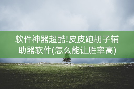 软件神器超酷!皮皮跑胡子辅助器软件(怎么能让胜率高)