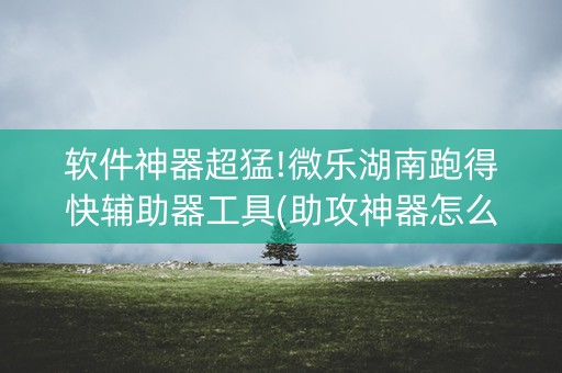 软件神器超猛!微乐湖南跑得快辅助器工具(助攻神器怎么才会赢)