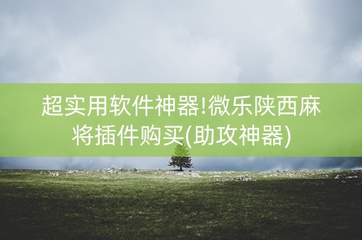 超实用软件神器!微乐陕西麻将插件购买(助攻神器)