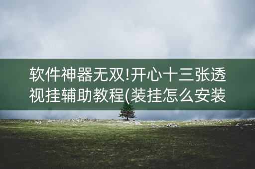软件神器无双!开心十三张透视挂辅助教程(装挂怎么安装)