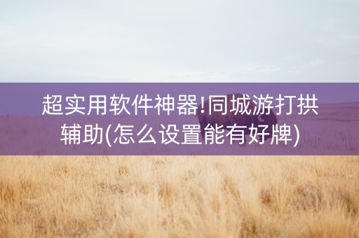 超实用软件神器!同城游打拱辅助(怎么设置能有好牌)