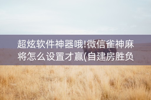 超炫软件神器哦!微信雀神麻将怎么设置才赢(自建房胜负规律)