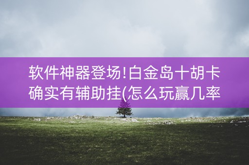 软件神器登场!白金岛十胡卡确实有辅助挂(怎么玩赢几率大)