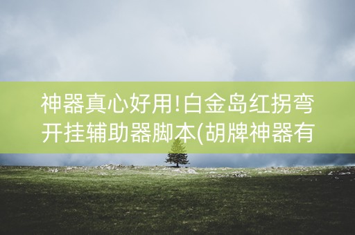 神器真心好用!白金岛红拐弯开挂辅助器脚本(胡牌神器有猫腻吗)