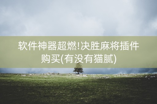 软件神器超燃!决胜麻将插件购买(有没有猫腻)