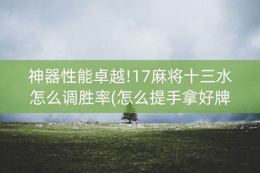 神器性能卓越!17麻将十三水怎么调胜率(怎么提手拿好牌)