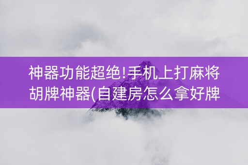 神器功能超绝!手机上打麻将胡牌神器(自建房怎么拿好牌)