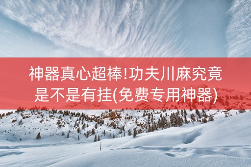 神器真心超棒!功夫川麻究竟是不是有挂(免费专用神器)