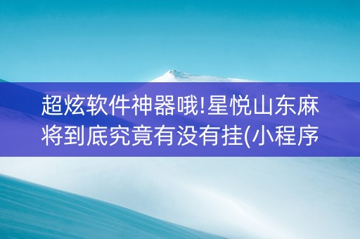 超炫软件神器哦!星悦山东麻将到底究竟有没有挂(小程序怎么才会赢)