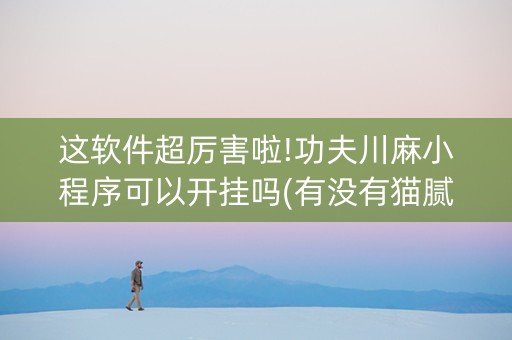 这软件超厉害啦!功夫川麻小程序可以开挂吗(有没有猫腻)