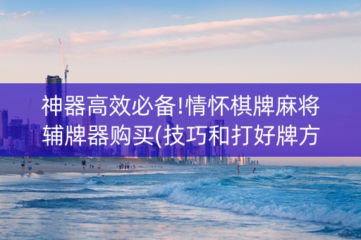 神器高效必备!情怀棋牌麻将辅牌器购买(技巧和打好牌方法)