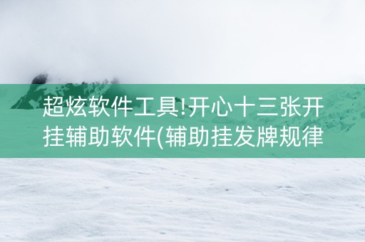 超炫软件工具!开心十三张开挂辅助软件(辅助挂发牌规律)