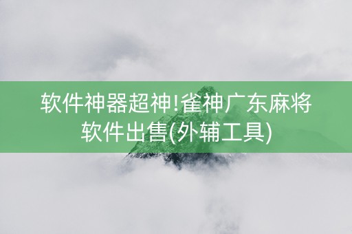 软件神器超神!雀神广东麻将软件出售(外辅工具)