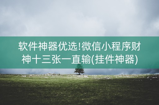 软件神器优选!微信小程序财神十三张一直输(挂件神器)